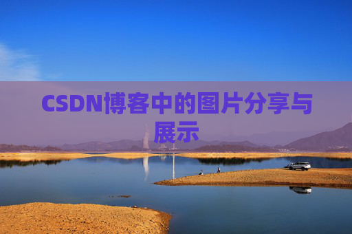 CSDN博客中的图片分享与展示